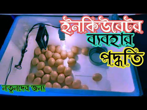 ইনকিউবেটরে ডিম ফুটানোর পদ্ধতি | ১০০ ডিমের ইনকিউবেটরের দাম |  Dim Futano Mechine | kazi143 bangla