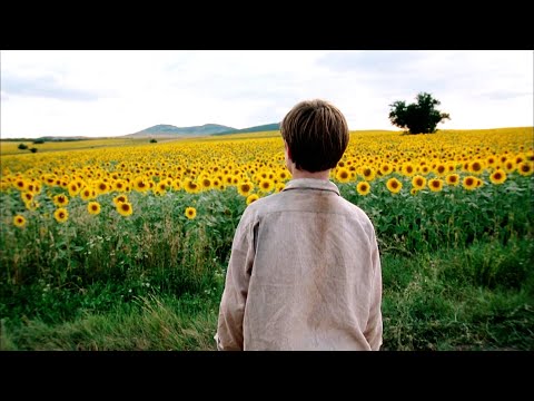 初看时被电影中的美景迷倒，直到如今再次重复看，才明白是部多么优秀的电影！【光影】