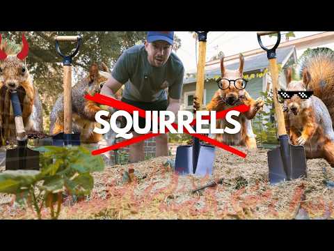 Squirrels Are SMART… But This How You Can Finally Stop Them.