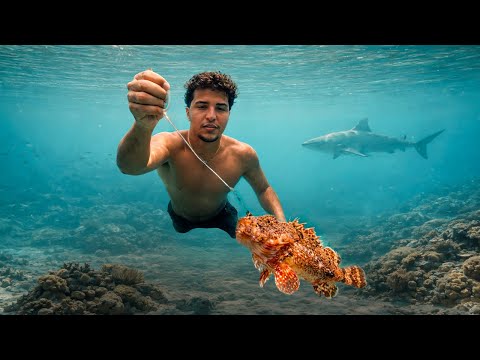 I Fished Underwater for Tropical Fish