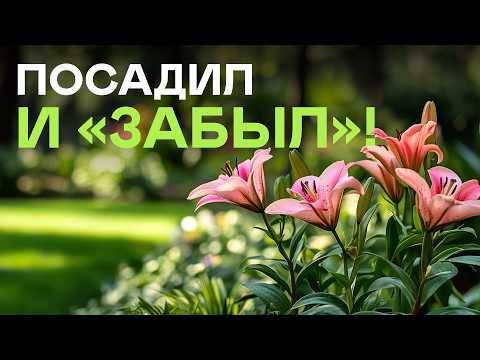 39 красивых многолетников, которые НЕ УКРЫВАЮТ на зиму
