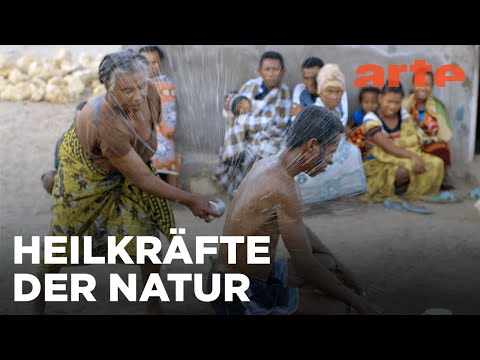 Madagaskar: Pflanzen als Heiler | Medizin in fernen Ländern Reupload | ARTE Fernweh