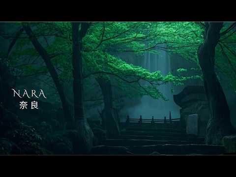 NARA (奈良) - Lush Green Forest Ambience | Japanese Zen Music | Relax Work