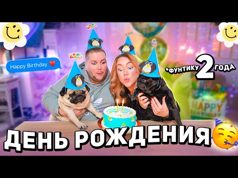 день рождение Фунтика! готовим торт и украшаем дом! распаковка подарков ! фотки как в Pinterest!