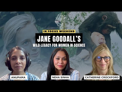 In Focus Podcast | Naming chimps, making room: Jane Goodall’s wild legacy for women in science