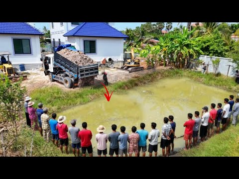 Excellent Starting New Perfect Project COMPLETE100% Clear Small POND by Bulldozer Push, Dump Truck U