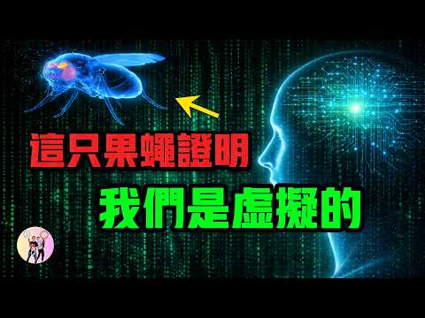 我們的世界是虛擬的? ?證據竟然是一隻果蠅