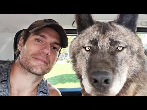 10 Celebrities With Their SPECIAL Pet Animals