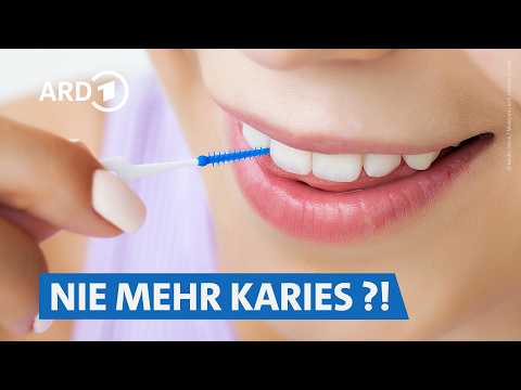 Interdentalbürsten von TePe, Curaprox & Co.: Damit reinigt ihr am besten  ✅  | Servicezeit WDR