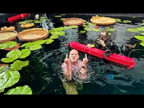 The White Lotus S03Ep08 Funniest Behind the Scenes & Bloopers, facts,controversies & cast being kids