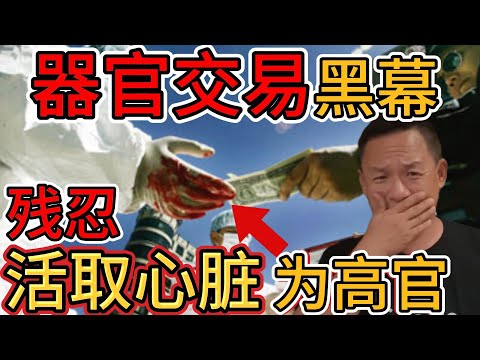 老王来了：毁三观！法官倒卖死刑犯尸体器官，餐厅竟吃出人体钢钉 | 无良医生活挖心脏供高官移植 | 器官交易的黑幕与价格 |