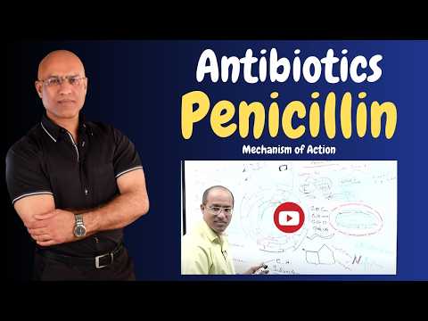 Penicillin | Antibiotics | Mechanism of Action | Pharmacology💊