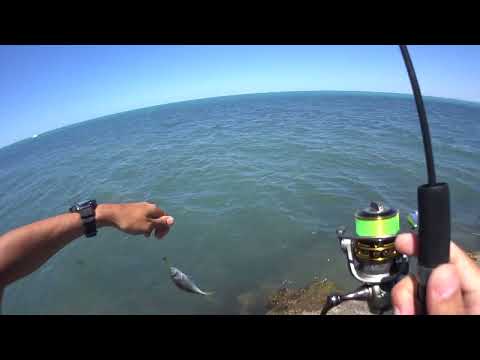 Рыбалка в Анапе на пляже Высокий берег