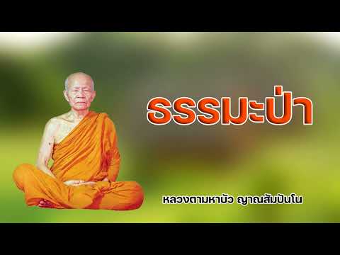 ธรรมะป่า หลวงตามหาบัว ญาณสัมปันโน