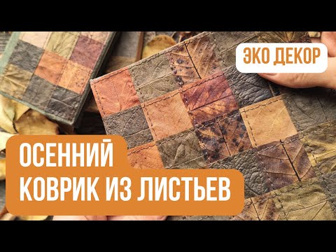 How to Preserve Fall Leaves in Glycerin🍂 | DIY Fall Decor | Fall Craft Ideas