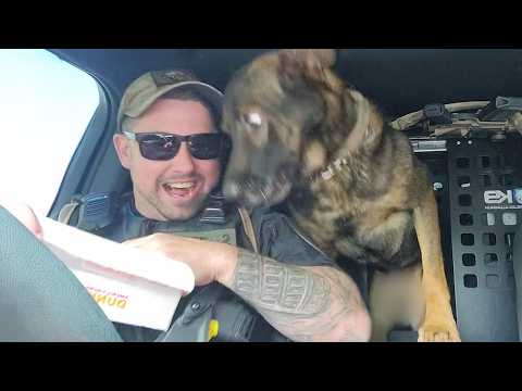 When Police Dogs Forget Their Job 😁 Funny Dog Videos 2025