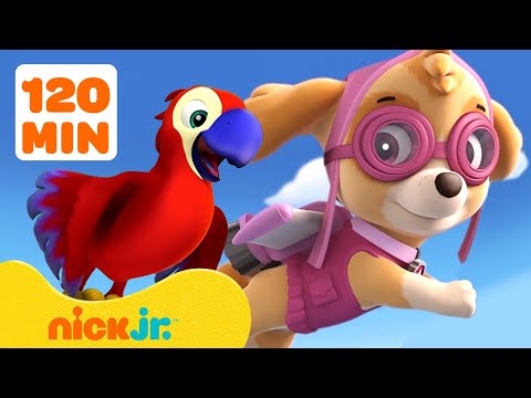 PAW Patrol Pups Rescue Parrots, Kittens & Skunks 🦜 w/ Skye & Zuma | 2 Hour Compilation | Nick Jr.