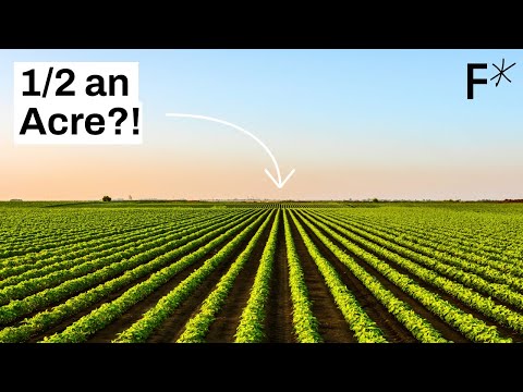 This ½ acre has everything you need to survive | Hard Reset MEGASODE