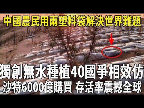 中國農民用2個塑料袋解決世界難題！獨創無水種植40國爭相效仿，沙特國王6000億購買，存活率震撼全球！#科普 #熱門 #沙漠 #技術
