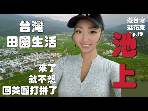 再回台湾，再回台东池上｜池上鹿野的田园风景，让人上瘾｜空拍花东纵谷｜台东旅行攻略｜鹿野高台爱娇姨茶餐厅｜台湾慢旅行｜游台湾逛花东Ep.19