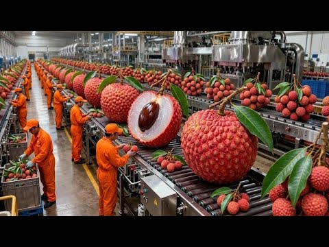 Inside the Lychee Factory | From Fresh Fruit to Sweet Dessert (Full Process)