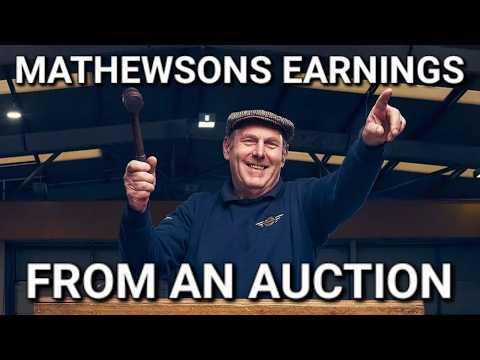 Bangers and (How much?) Cash. What Mathewsons Really Earns