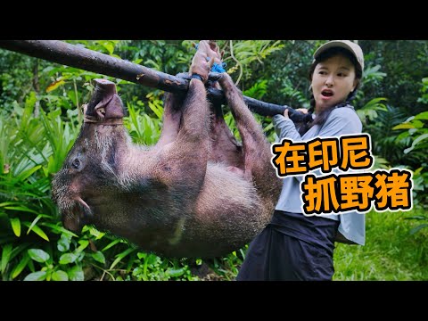Indonesian Wild Boar Hunt: Using Just a Pole and Rope, Indonesians Catch a 100-Pound Boar!