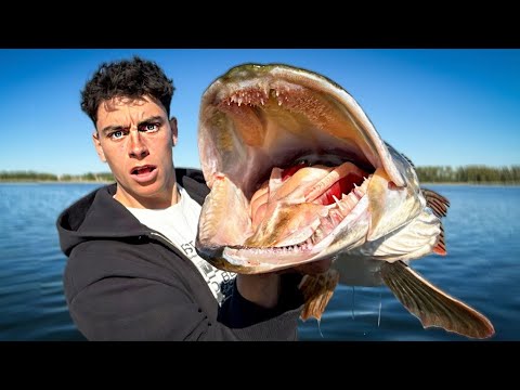 Unweit vom BADESTRAND, konnten wir IHN endlich FANGEN! 😮