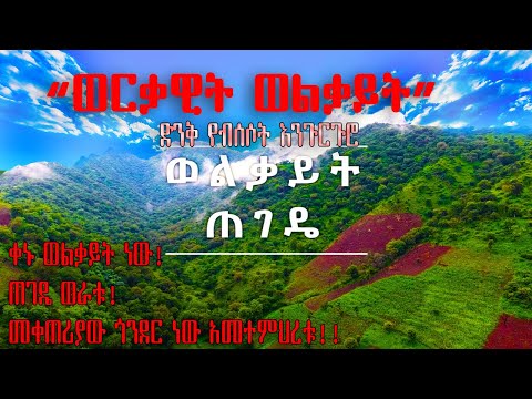“ወርቃዊት ወልቃይት” ቀኑ ወልቃይት ነው! ጠገዴ ወራቱ! መቀጠሪያው ጎንደር ነው አመተምህረቱ!! ድንቅ የብሰሶት እንጉርጉሮ