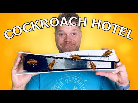 DISGUSTING Bug Infested PS5 - Let’s Clean It!