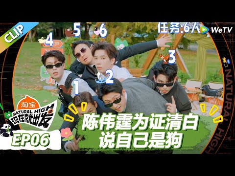 【现在就出发S3】伪装大师：陈伟霆为证清白说自己是狗！王安宇卧底到最后赢麻了！|《现在就出发S3》Natural High S3 #沈腾 #王安宇 #黄景瑜 #金晨 #范丞丞 #贾冰 #胡先煦#白敬亭