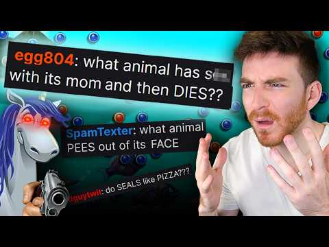 Peggle, but i MUST answer Twitch Chat's "trivia" Questions