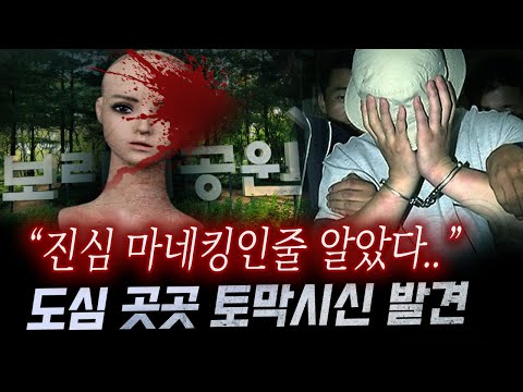 The identity of the mannequin discovered by neighborhood kids, who is the culprit who left the pi...