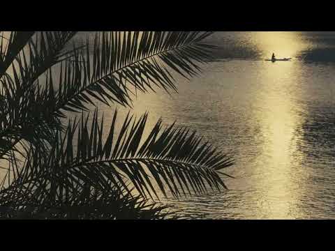 Golden Lake Sunset 🌅 Tranquil Water & Gentle Breeze Ambience | 12 Hours