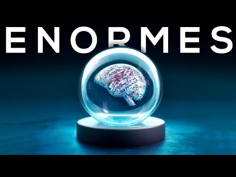 What is an LLM? Large Language Models