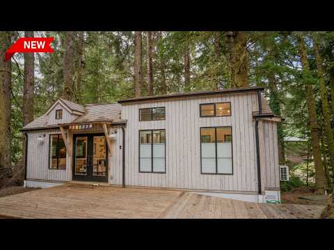 We Live in Our Dream Tiny Home in the Forest