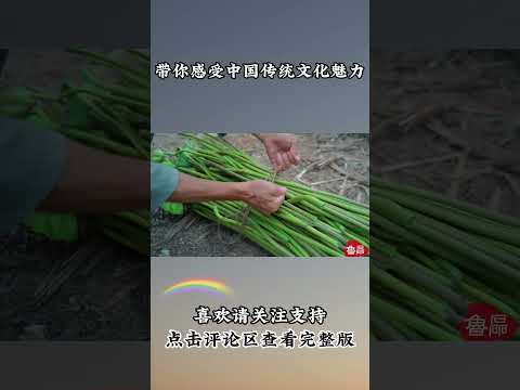 P1 Longquan Seal Ink:A Touch of Red from the East