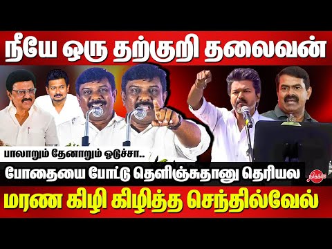 நீயே ஒரு தற்குறி தலைவன்..Senthilvel Roasted Vijay | Seeman | TVK | Udhayanidhi Stalin