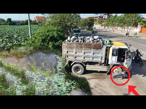 Be Watchful Begining New Project!Truck 5TLoading Stone DeletePond,Bulldozer D31 Komatsu Pushing Soil