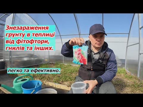 Знезаражуємо грунт в теплиці за допомогою фітоспорину- як це робимо.