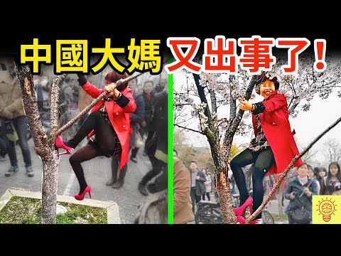 中國大媽又出事了！潑奶茶、摧殘櫻花樹、廣場舞，瘋狂行為現場畫面曝光！