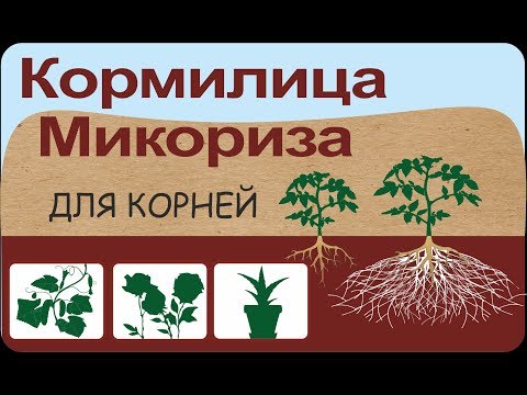 "Кормилица Микориза для корней Универсальная" - микробиологический препарат