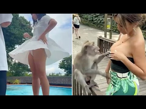 Kumpulan Momen Kocak & Konyol Bikin Ngakak Sampai Sakit Perut 😂🤣 Video Lucu 2025 #17