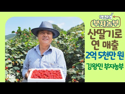 [역전의부자농부 258회] 산딸기로 연 매출 2억 5천만 원! 경북 경주 김왕민 부자농부