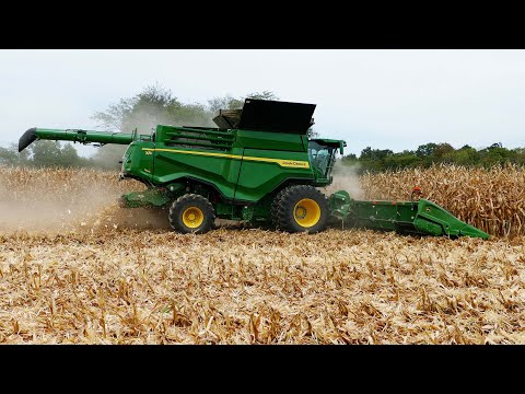 John Deere X9 1100 Harvesting Corn with 16-Row Corn Head