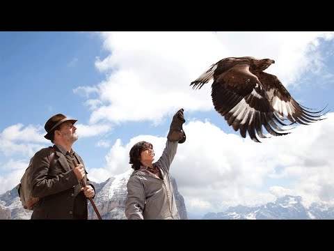 雏鹰坠落悬崖被家族抛弃，被小男孩收养后，最终成为了一代鹰王，21分钟看完2001年冒险剧情电影《追鹰日记》