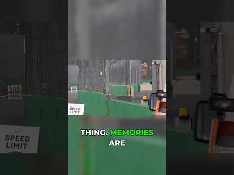 A Garage Queen's Worst Nightmare #CarCulture #RoadMission