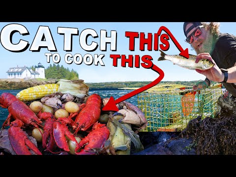 Turning Alewives into Lobsters - Maine Lobster Buried Catch and Cook on a Island