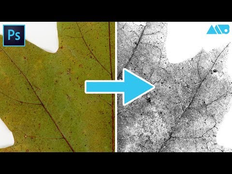 How to Turn Photos into Textures inside Adobe Photoshop Tutorial
