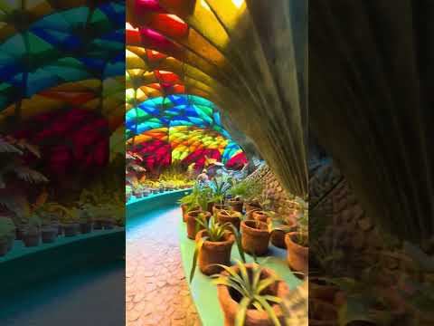 Architecture 2025 recap … follow along for more